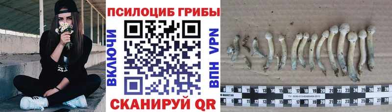 Галлюциногенные грибы MAGIC MUSHROOMS  Ивдель 